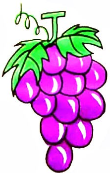 手绘简笔画之葡萄的画法