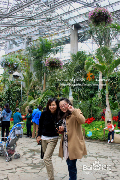 上海植物园（上）