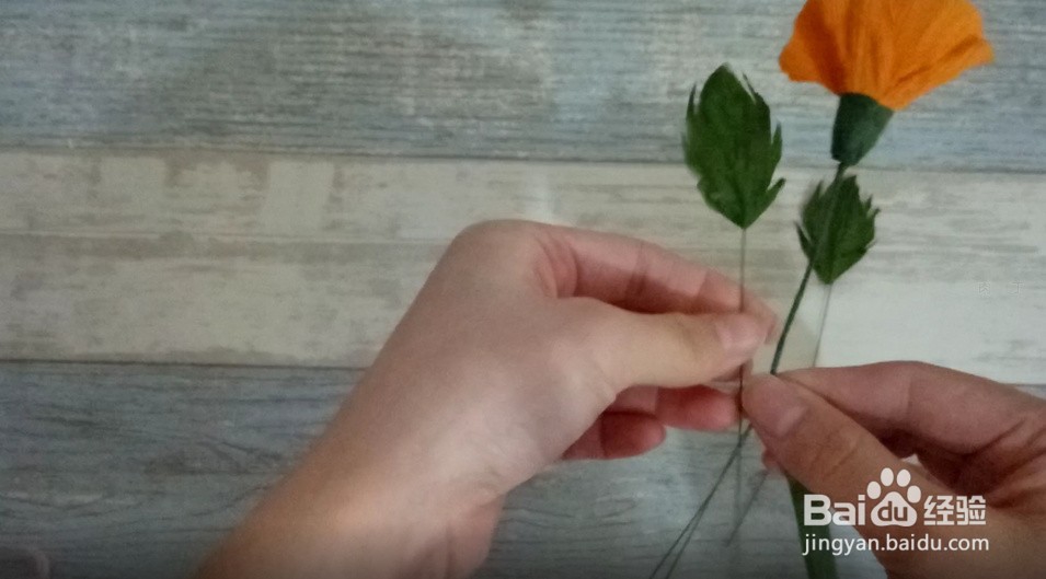 手工制作--皱纹纸罂粟花