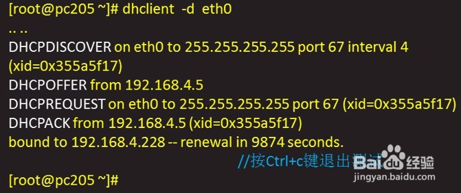 DHCP的搭建与维护