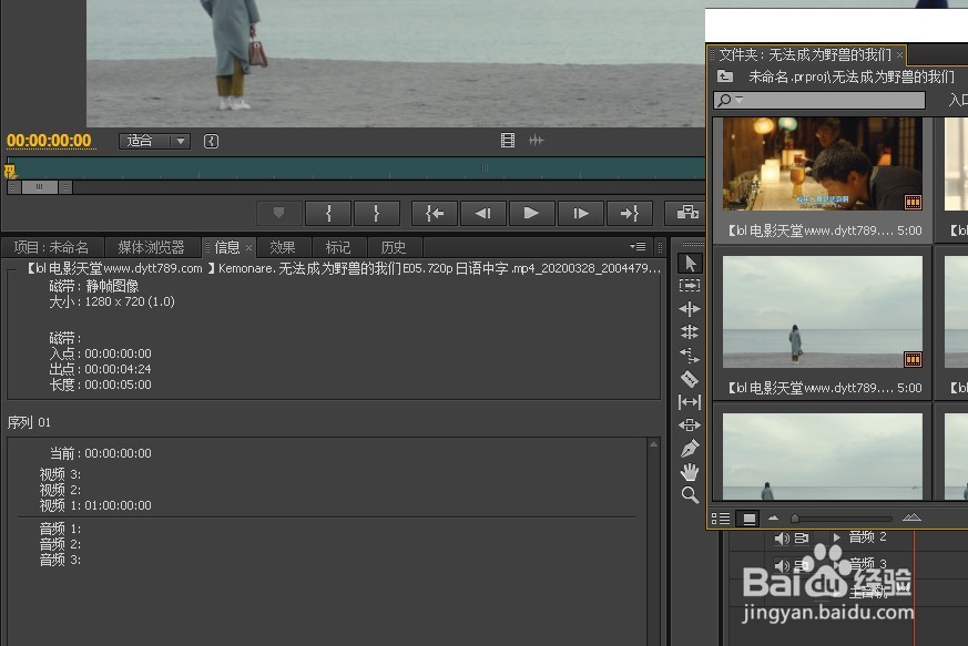Pr如何获得图片的属性？
