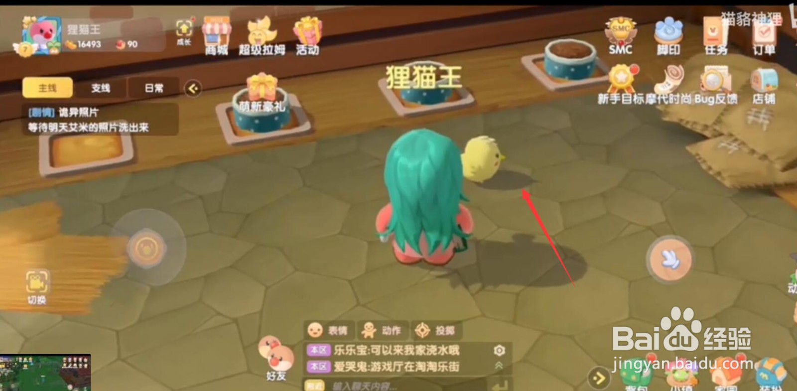 摩尔庄园如何喂小鸡