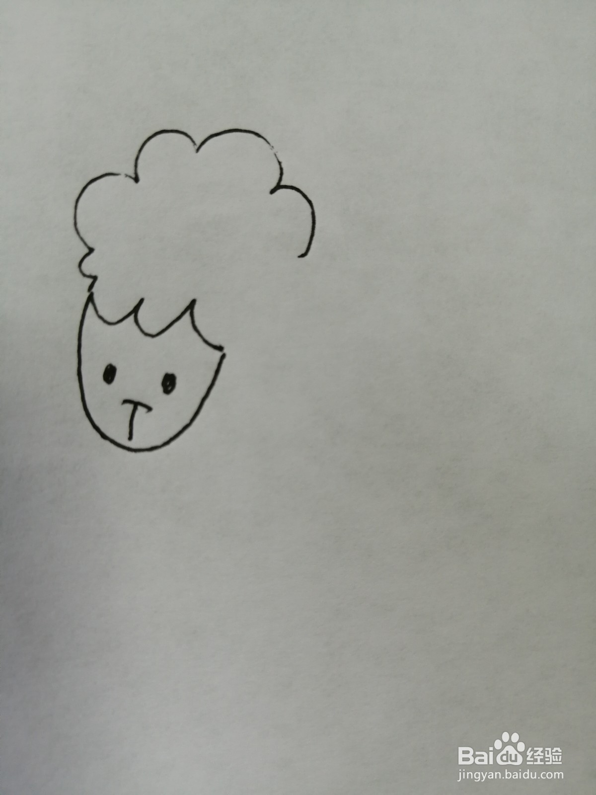 可爱的小绵羊怎么画