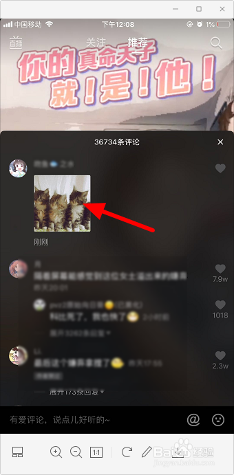 抖音三只猫点头表情包怎么发