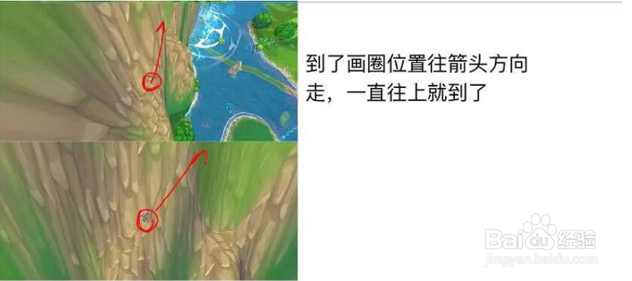 摩尔庄园浆果丛林上山攻略