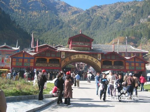 成都到九寨沟_成都到九寨沟旅游线路
