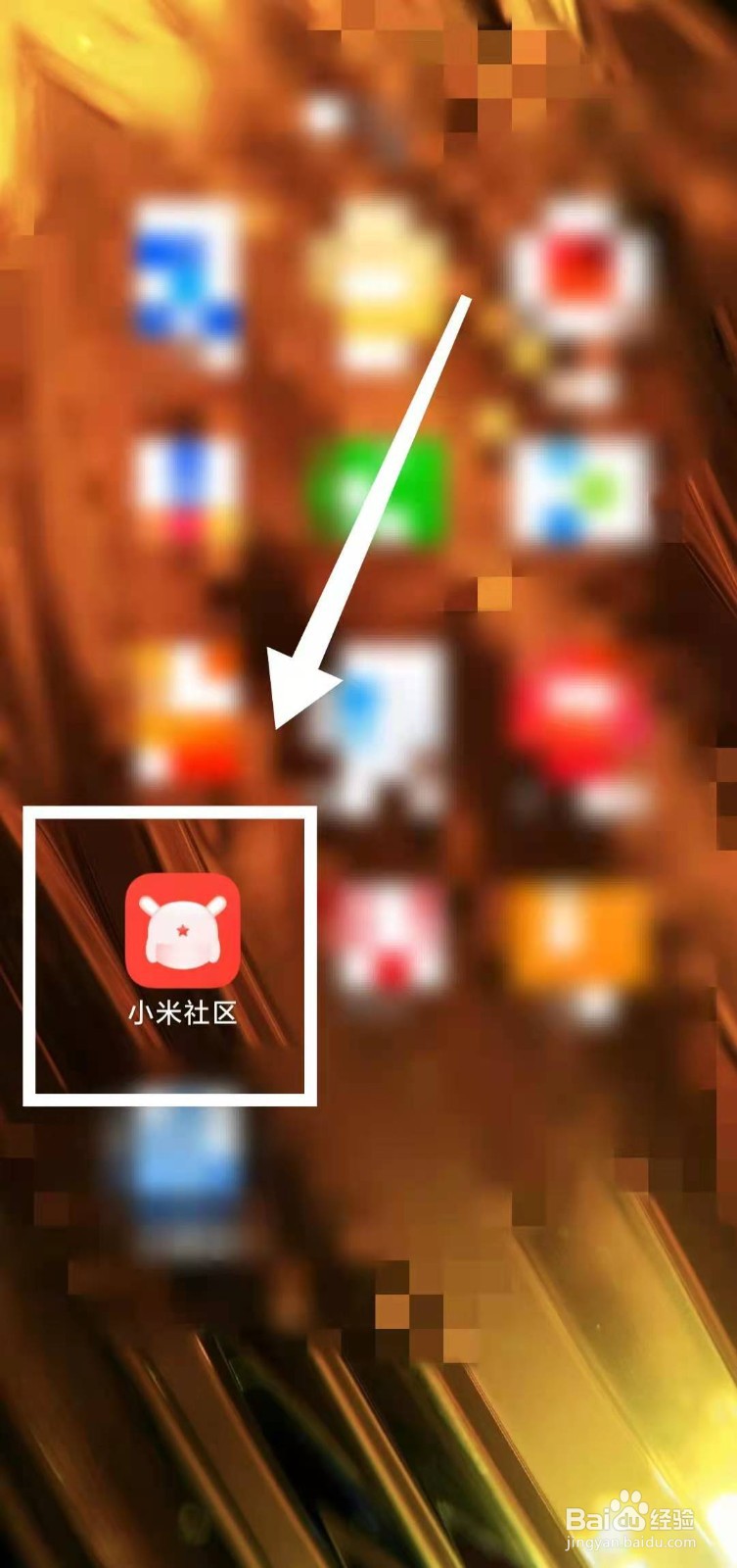 怎样开启小米社区软件的“显示计步数据”功能