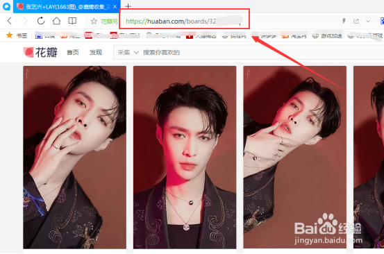 如何保存花瓣上的图片素材