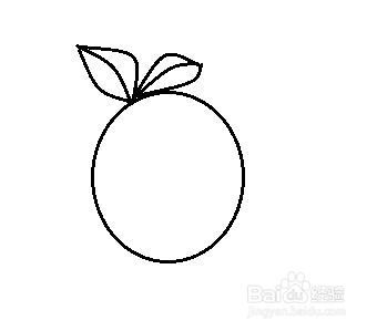 萝卜简笔画怎么画？