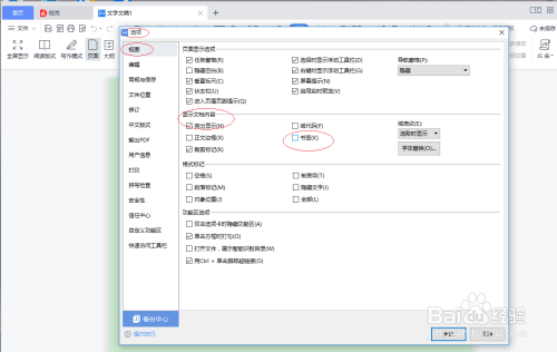 WPS office 2022文字如何设置显示文档书签