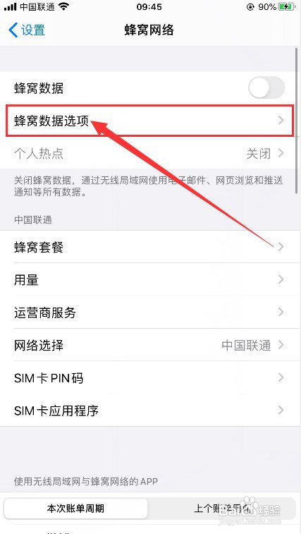 苹果手机怎么开启低数据模式？