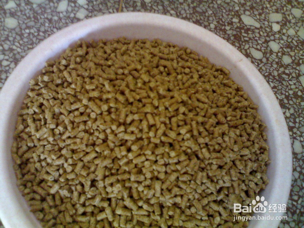 如何自己制作虾类饲料