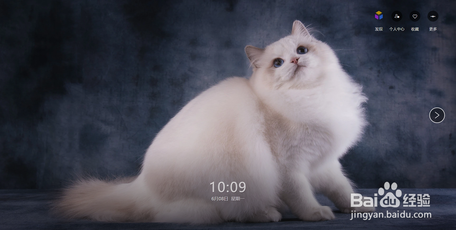 WPS画报展示的图片类型太少，怎么解决？