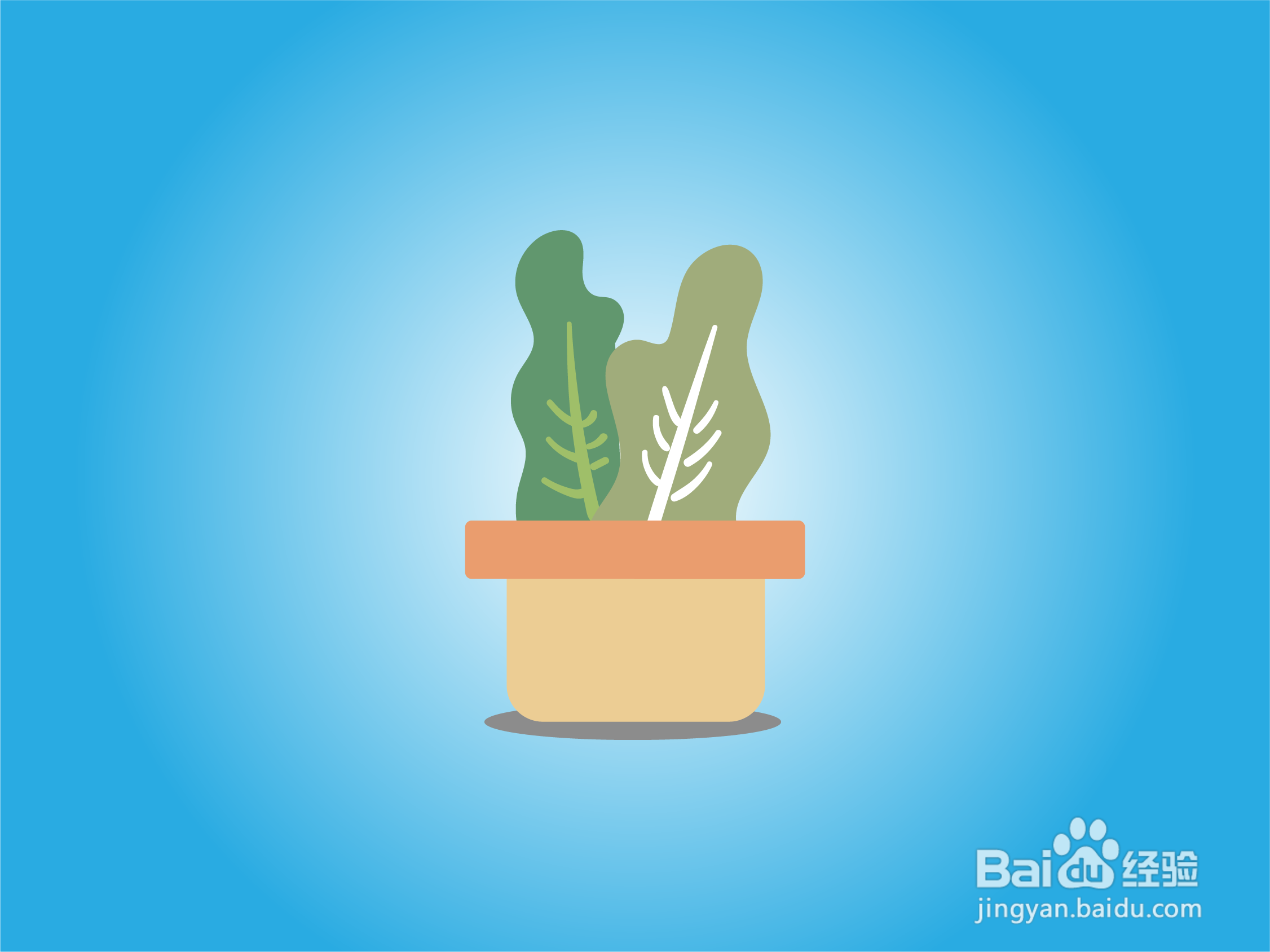 如何画好卡通植物盆栽?