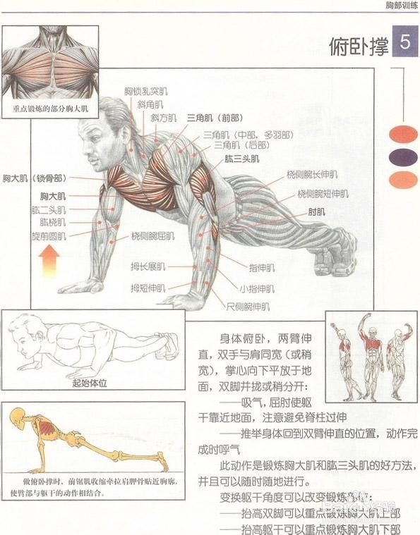 怎么控制自己只长瘦肉