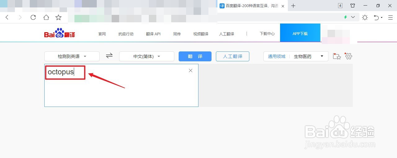octopus怎么发音