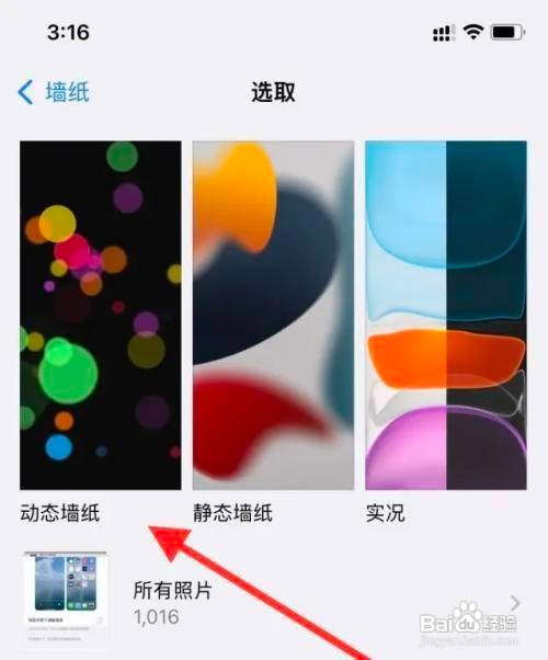 可以动的手机壁纸