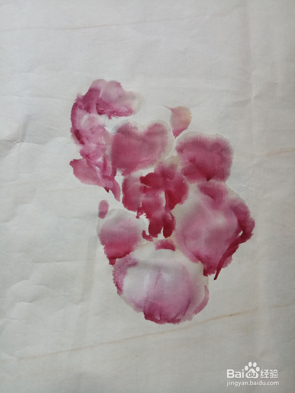 半开折枝牡丹的写意画法