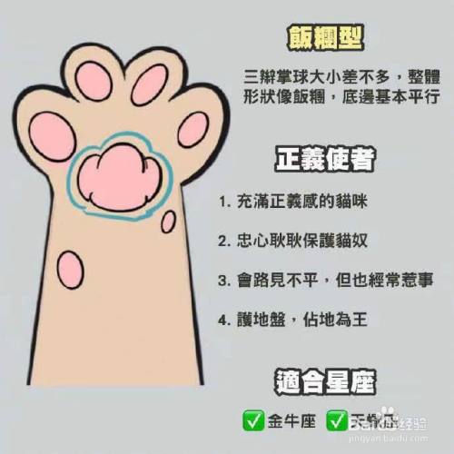 猫肉垫看性格图解 百度经验