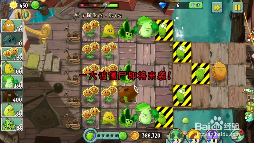 植物大战僵尸2海盗港湾种子保卫战第三天 加农炮