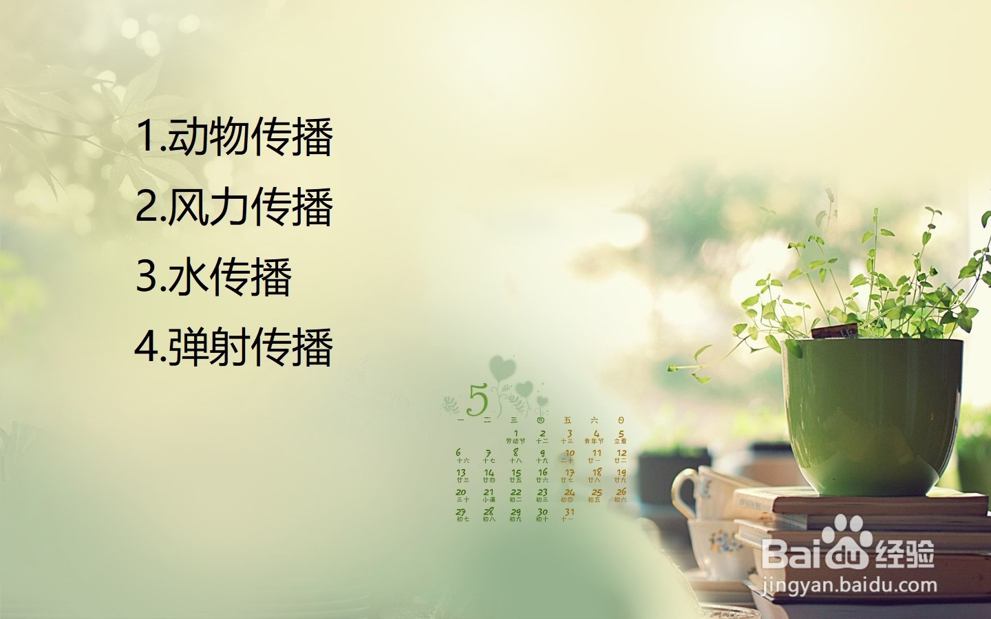 列举植物传播种子方法