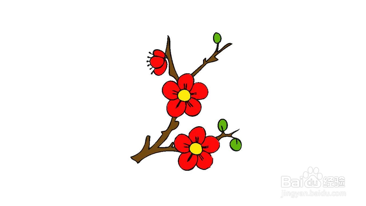 冬天腊梅简笔画