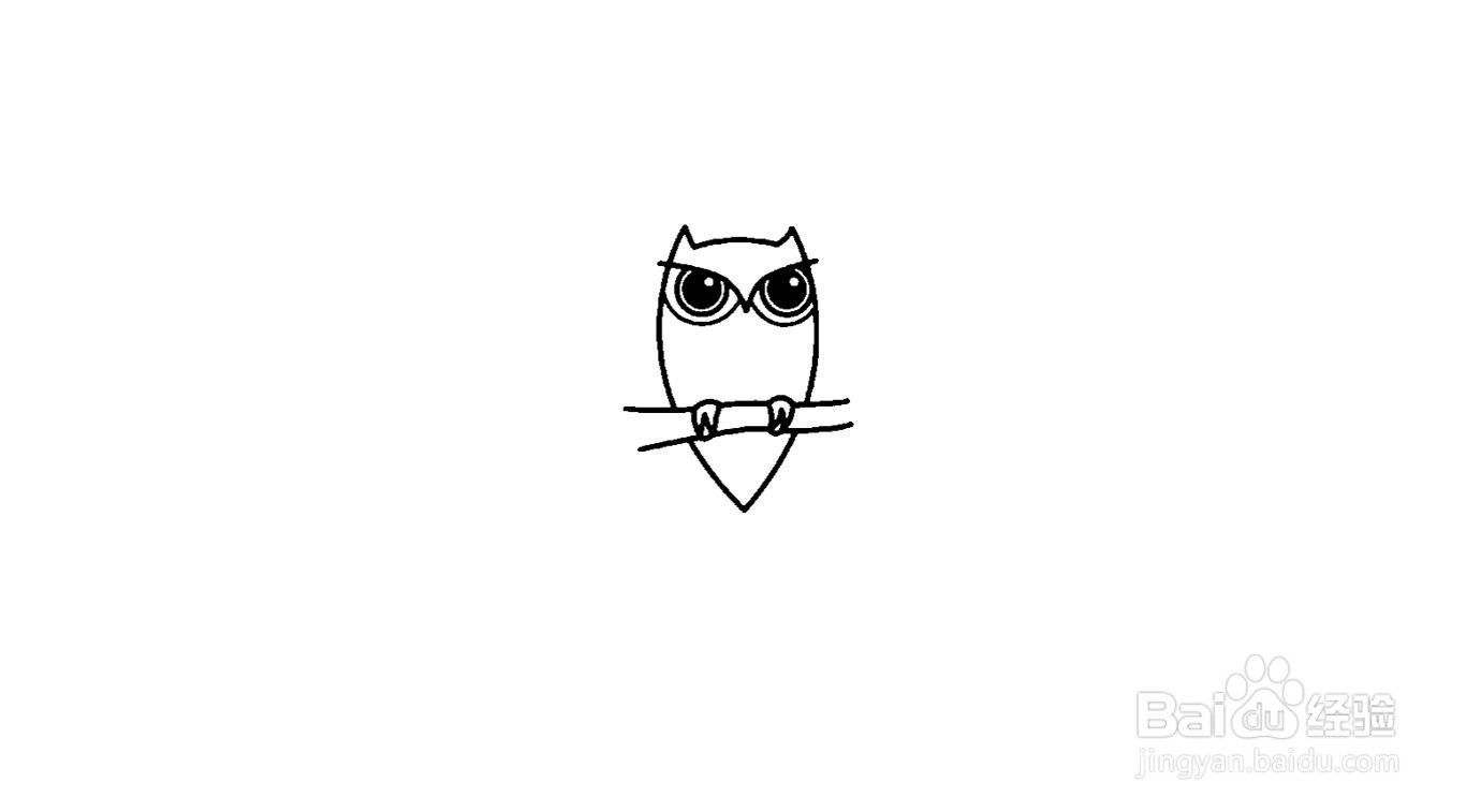 猫头鹰简笔画画法分解