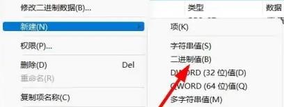 Windows11怎么新建注册表二进制数值