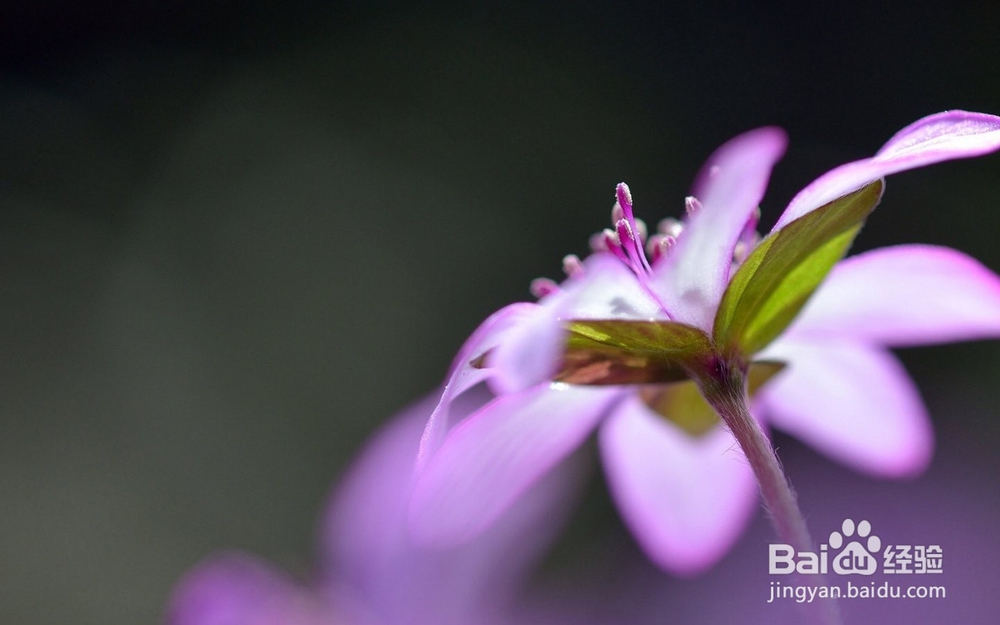 怎么去除青春痘印