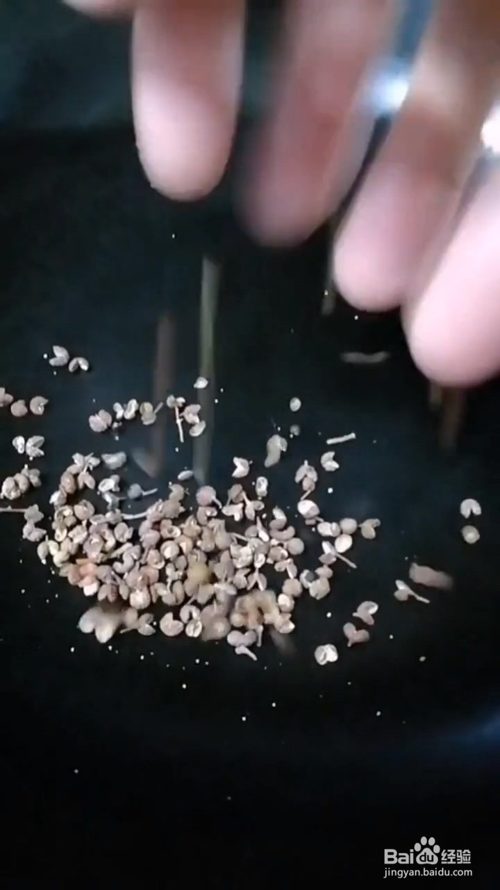 如何弄美味好吃的小酥肉