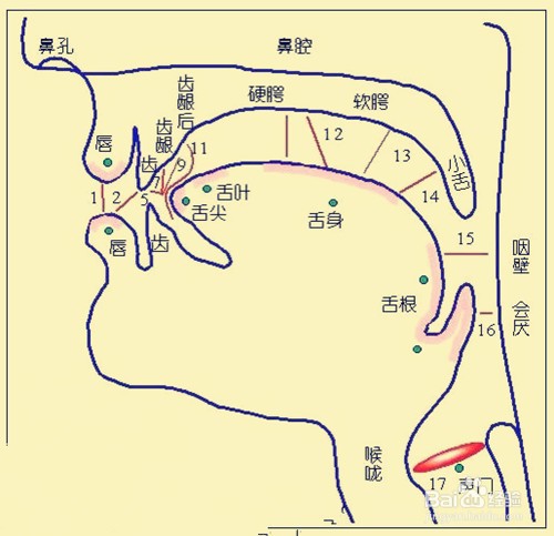怎么教孩子区分n和l