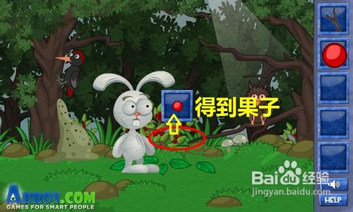 在线小游戏:聪明的兔子-猫头鹰关通关攻略