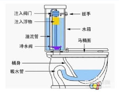 为什么马桶水箱盖会设置两个按钮？