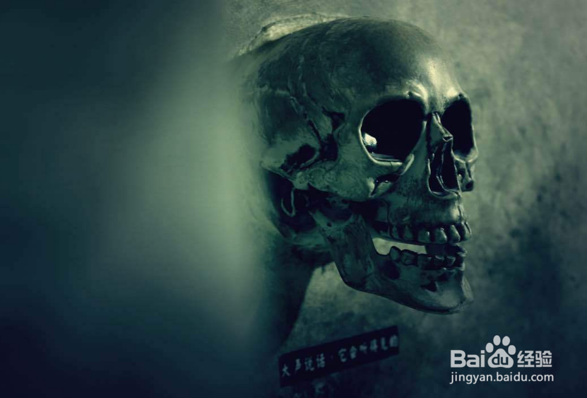 max伯爵密室太平间攻略