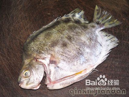 豆瓣酱焖金鼓鱼