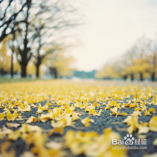 贴营养，减膘肉——科学话“秋膘”