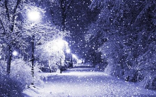 '这个冬季,天气异常寒冷'要求:正面描写与侧面描写相结合,至少用两种不同的修辞手法,不少于八十字