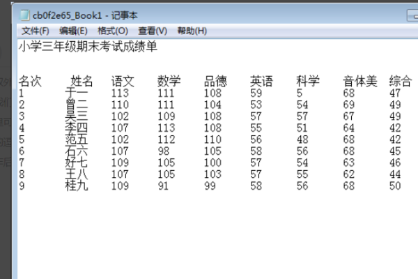 记事本怎么转换excel