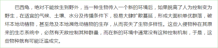 巴西龟（又叫红耳龟）的日常饲养