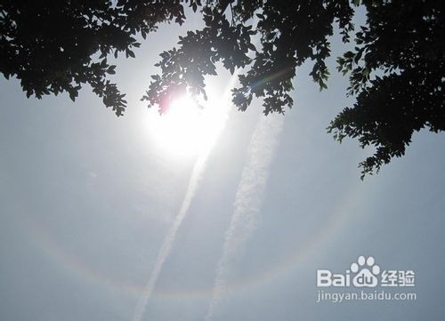 百度经验团队第二期活动如何玩转？