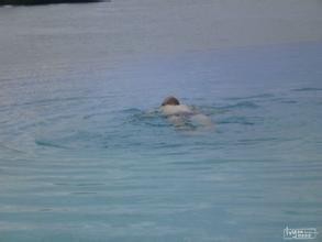 夏季海边游泳注意事项