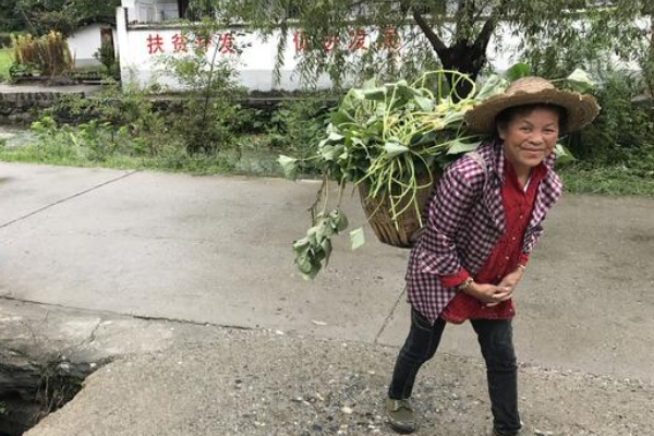 家庭主妇半边天的意思