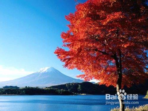 北京到日本旅游注意事项