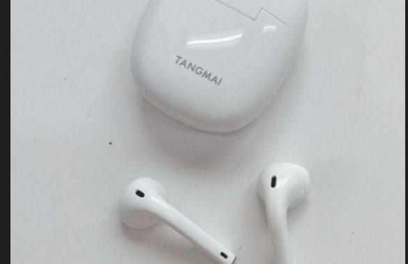 唐麦耳机仓丢了怎么办