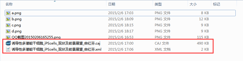 CAJ文件中的注释不见了