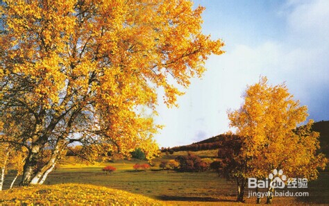 天气好的时候适合做什么？初冬适合做什么？