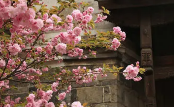 《残春旅舍》翻译及赏析是什么
