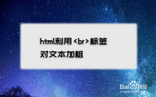 html利用b标签对文本加粗