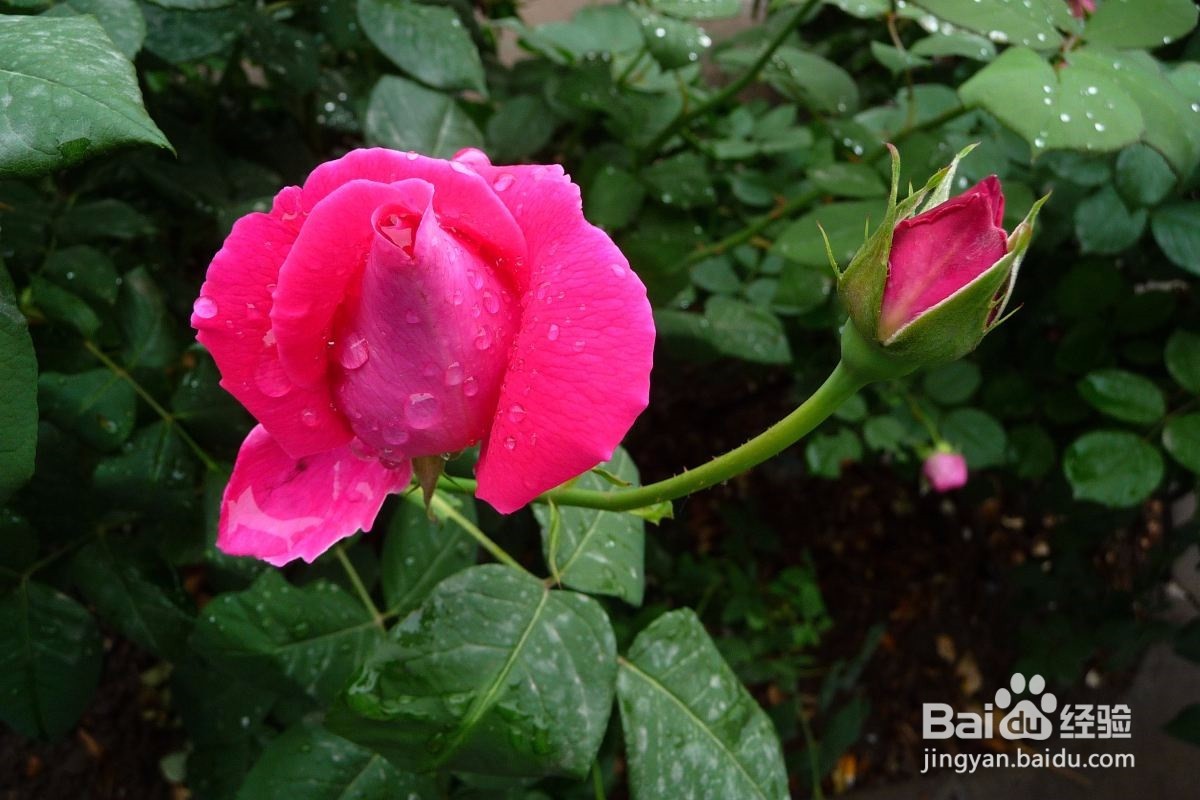 跑道无内突沿如何设标志