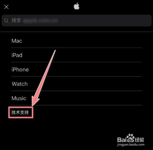 苹果x进水屏幕出现绿条